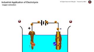 Electrolysis copper extraction [upl. by Vander348]