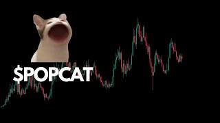 POPCAT the Memecoin with a Funny Cat Making an O Face [upl. by Emiolhs]