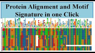 Protein Alignment [upl. by Ann-Marie]