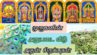 Arupadai Veedu in Tamil Six Abodes of Murugan முருகப் பெருமானின் அறுபடை வீடு கோவிலின் சிறப்புகள் [upl. by Lay591]