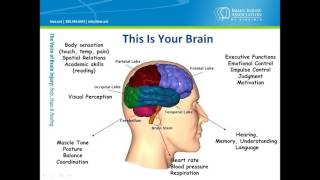 Brain Injury Basic Information About a Complex Disability [upl. by Friedly]