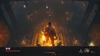 Where to find the LongArm Centipede Senun boss fight Sekiro Shadows Die Twice [upl. by Chuch]