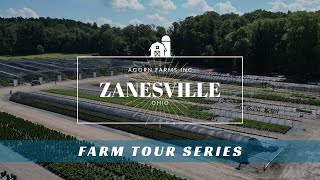 Whats growing in Zanesville Acorn Farms Primary Propagation Facility Tour [upl. by Vinni102]