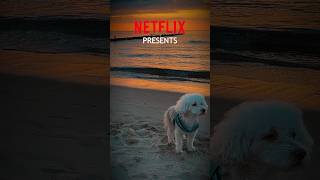 Teddy Bolonka Zwetna Netflix Trailer [upl. by Lyn]