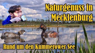 Naturgenuss in Mecklenburg  Rund um den Kummerower See [upl. by Cornel]