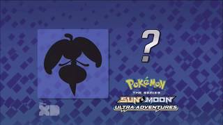 Who’s that Pokémon Pokémon sun and moon clips English HD [upl. by Fahey744]