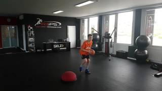 Basketball specific Proprioceptive Training [upl. by Barcellona]