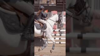 Such A Great Team Ft Gilary Reyes and Gardeur 🤍🩶bestduo showjumpinghorse horse shorts [upl. by Charry]