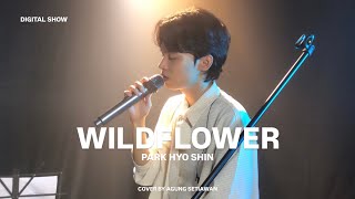 Wildflower 야생화  Park Hyo Shin Cover by Agung Setiawan [upl. by Sinnard281]