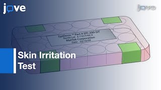 Skin Irritation Test using Reconstructed Human Epidermal Model [upl. by Yarised]