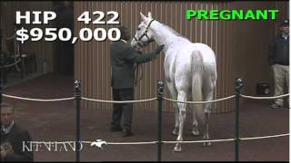 2014 November Breeding Stock Sale Hip 422  Strawberrydaiquiri GB [upl. by Hotze]