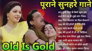 पुराने सुनहरे गाने l Old Is Gold l Bollywood classics song l oldisgold bollywoodclassic 80s90s [upl. by Adnic]