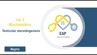 Lec 2  Biochemistry  Testicular steroidogenesis  Repro 42 [upl. by Glavin943]