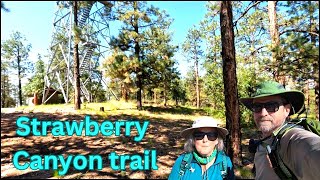 Strawberry Canyon Trail McGaffey New Mexico  hiking to the Fire Lookout Tower [upl. by Jeffries]