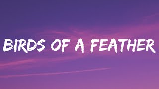 Billie Eilish  BIRDS OF A FEATHER Lyrics [upl. by Gereld]