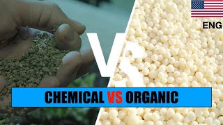 ORGANIC VS CHEMICAL FERTILIZER IN BONSAI  An experiment [upl. by Rabiah]