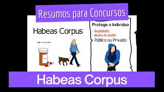 Remédio Constitucional Habeas Corpus [upl. by Jacy]