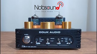 Douk Audio X1 TDA7498E Amplificatore in classe D con Valvole [upl. by Nnaeirrac]