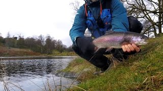 Fly Fishing UK  Ghyll Head  BIG Winter Bows [upl. by Satterfield]