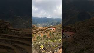 Tenerife🇮🇨Chinamada hike travel tenerife hiking explore nature visittenerife canaryislands [upl. by Giark477]