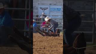 Epic Tie Down Roping rodeo horse cowboy [upl. by Eniamej401]