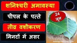 24 जून शनि अमावस्या पर पीपल के पत्तों से करें तीब्र वशीकरण मिनिटों में होगा असर  Shani Amavasya [upl. by Cogan]