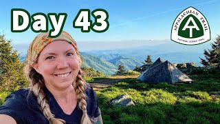 Day 43  Camping on top of Roan Mountain  Appalachian Trail 2020 [upl. by Julianna]