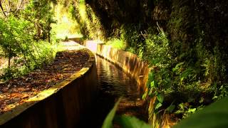 Levada do Norte Percurso a Pé Central da Serra de Água Eira do Mourão [upl. by Hubey687]