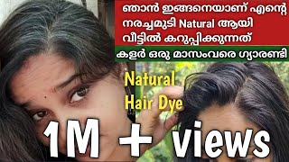 Natural Hairdye at home 💯 Result for all natural hairdye athome inmalayalam prematuregreyhair [upl. by Meras649]