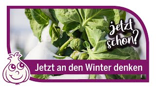 Wichtige Aussaaten in April amp Mai die man nicht vergessen sollte für den Winter [upl. by Nerb]