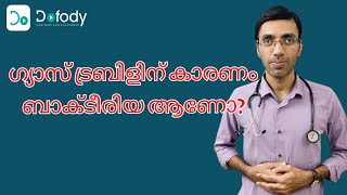 എച്ച് പൈലോറി എന്താണ് 🔬 Dont Wait for the Symptoms to Do the H pylori Tests 🩺 Malayalam [upl. by Radloff325]