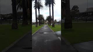 SPORTS RUGBY LEAGUE FROM REDFERN PARK iN SYDNEY NSW AUSTRALIA 01 [upl. by Pasadis]