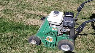 POWER RAKING A FRONT YARD LOTS OF DEAD GRASS Billy Goat power rake [upl. by Leahcam636]