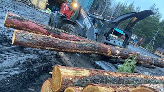 Working on a sawmill sawing roundwood and producing lumber [upl. by Lairea]