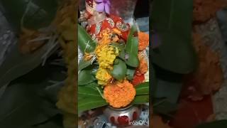 Laxmi Puja lunch dinner ki khabar  subscribe somasvlog viralminivlog [upl. by Eem]