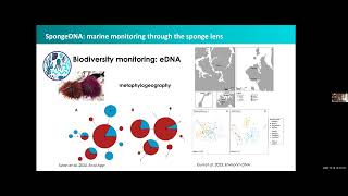 Monitoring the biodiversity of benthic communities through the sponge lens  MEEgene 10122024 [upl. by Ebeneser737]