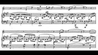 Schumann  Fantasiestücke piano accompaniment [upl. by Koziara641]