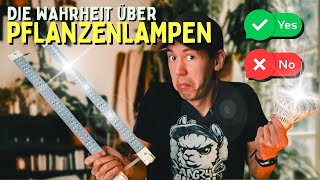 Pflanzenlampe 🤯 Hui oder Pfui  Wie viel Licht braucht deine Pflanze [upl. by Acinet]