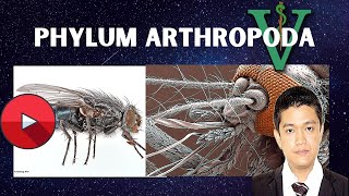 VET PARA 1  Phylum Arthropoda Part 1  Chapter 3 [upl. by Ntsud140]