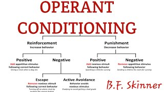 Operant conditioning in learning psychology [upl. by Marchese]