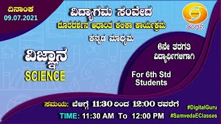 Samveda 202122  Day05  6th Class  Kannada Medium  Science  1130AM  09072021  DD Chandana [upl. by Anirat870]