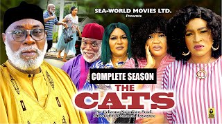 THE CATS COMPLETE SEASON 2023 LATEST NIGERIAN NOLLYWOOD MOVIES   Africa Movie Academy Awards [upl. by Roach496]