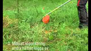 Klippteknik grunderna vid högt gräs Röjsåg och trimmer Guide och instruktion från STIHL [upl. by Otiragram518]