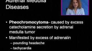 Pheochromocytoma [upl. by Kendry]