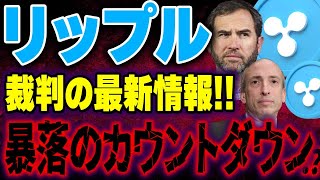 【仮想通貨リップル】最新情報❗️SEC訴訟はまだ終わっていない！？本番はこれから！2024年のリップルはどうなるのか！【仮想通貨バブル】【XRPソラナ】【イーサリアムETH】 [upl. by Dan]