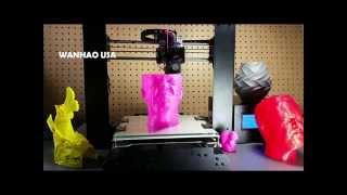 Wanhao Duplicator i3 Prusa  Squinty Face [upl. by Addie88]