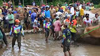 PACU JAWI cow race Nagari Sungai Jambu 11 Januari 2020 [upl. by Anastatius]