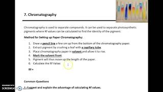 AQA A LEVEL BIOLOGY REQUIRED PRACTICAL 7 CHROMATOGRAPHY [upl. by Felike]