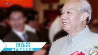 78年汪东兴谭震林起争执，谭震林忍不住发火：70了怎么重新做人？ [upl. by Zachar]