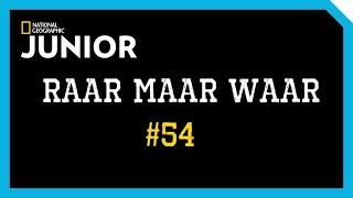 Raar maar Waar 54  Keizerpinguin [upl. by Wallas]